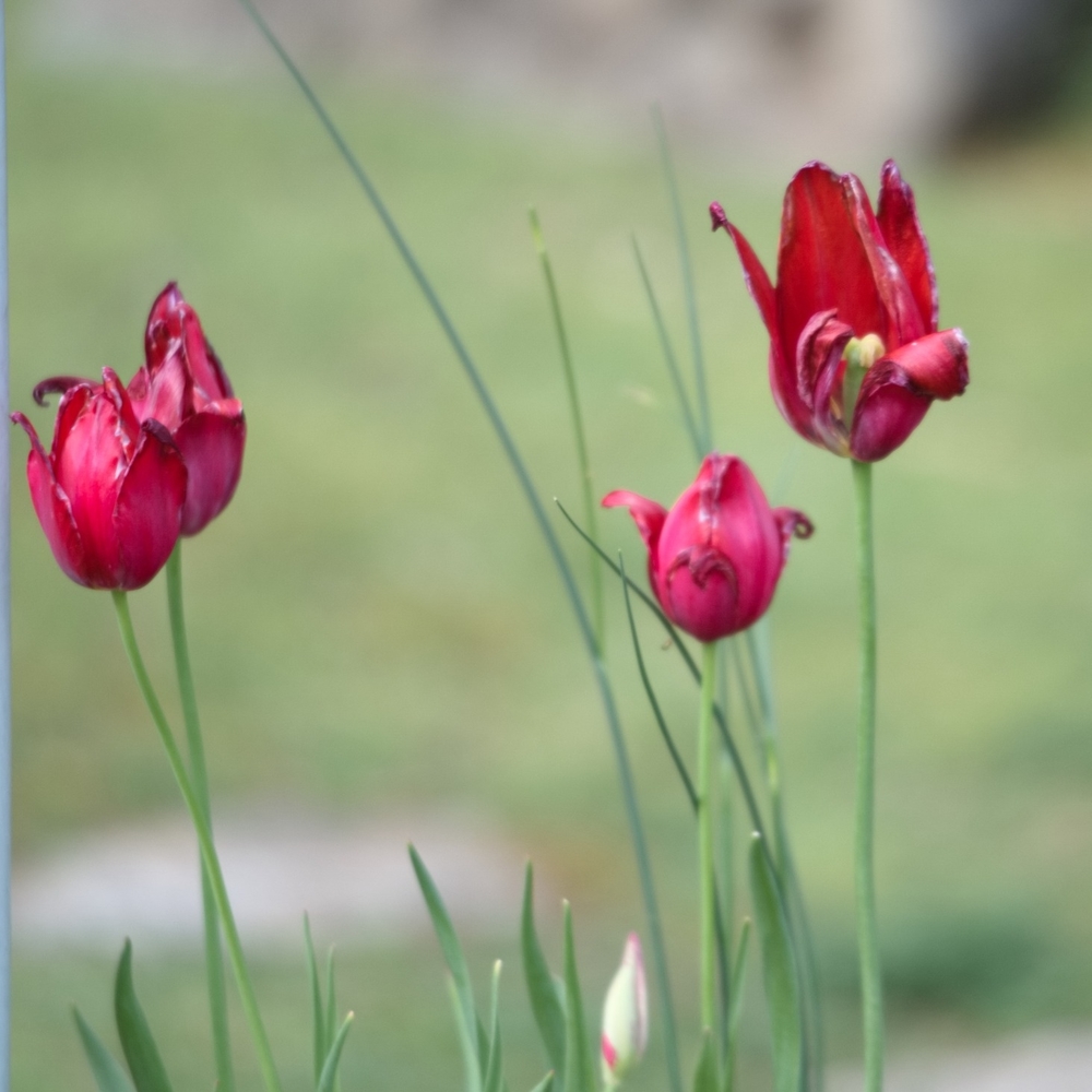 Meet your Posher, Wayna